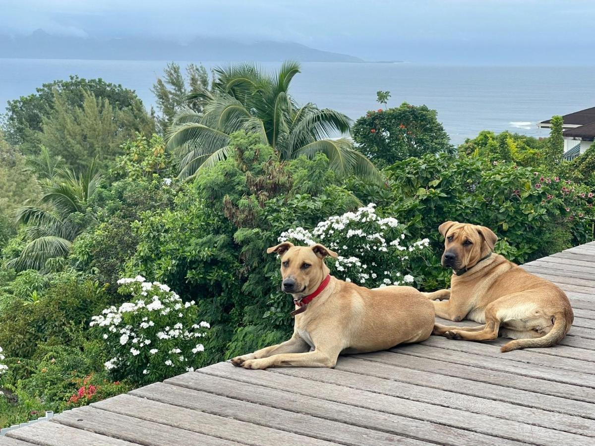 Jolie Maison Vue Ocean Et Moorea Punaauia  Εξωτερικό φωτογραφία